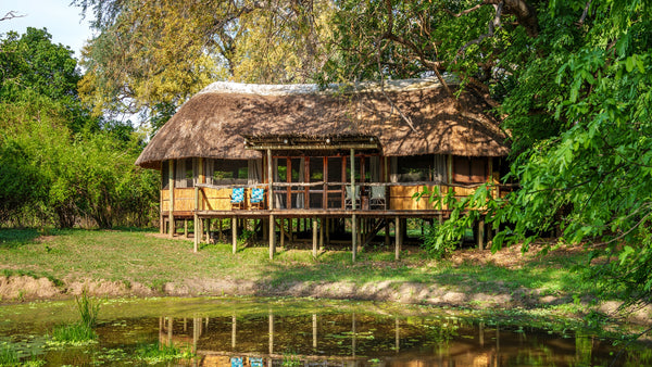 Bilimungwe