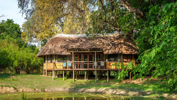 Bilimungwe