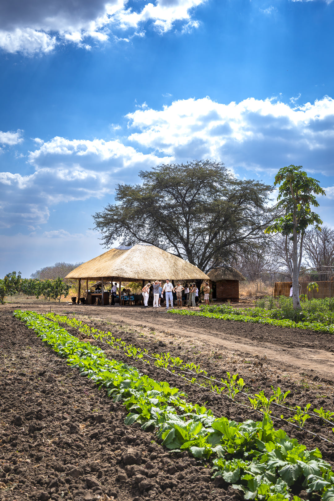 The Farm Table