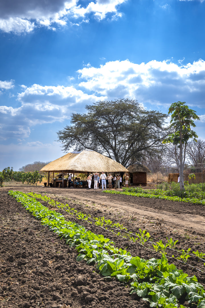 The Farm Table