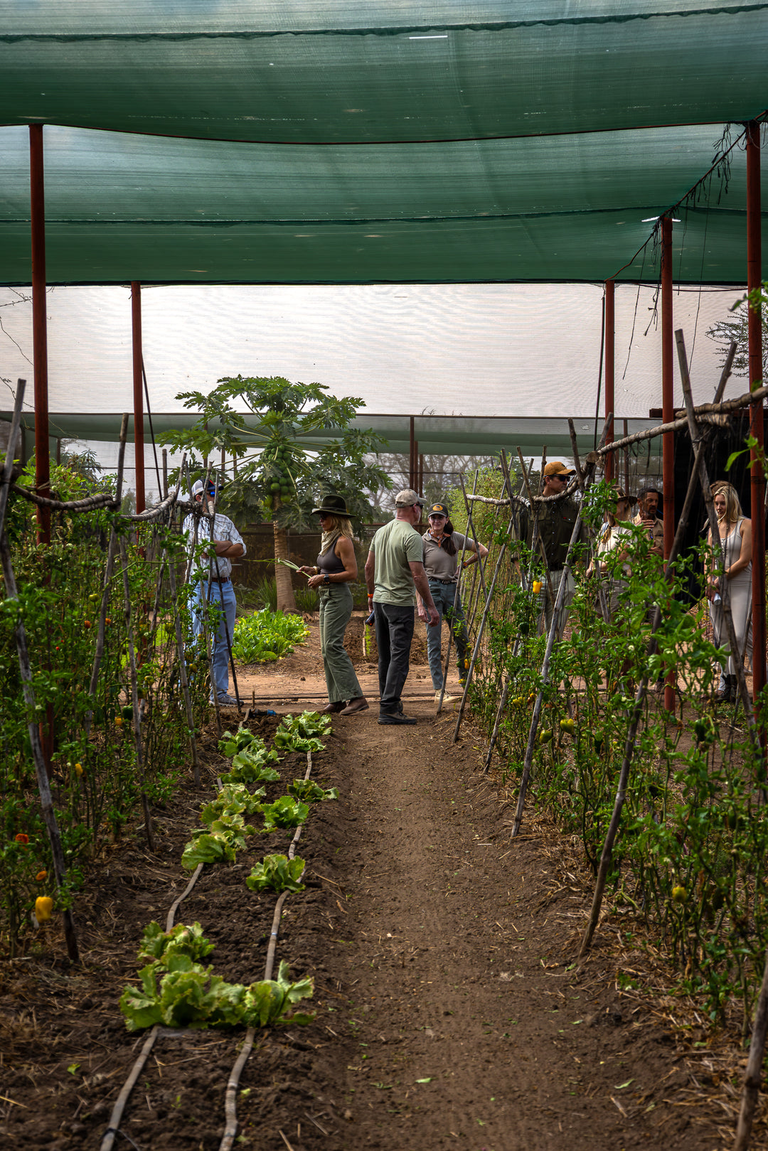 The Farm Table