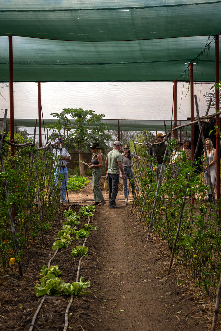 The Farm Table