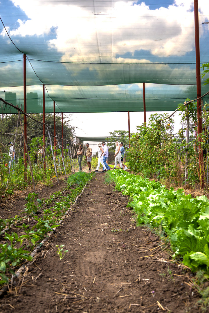 The Farm Table