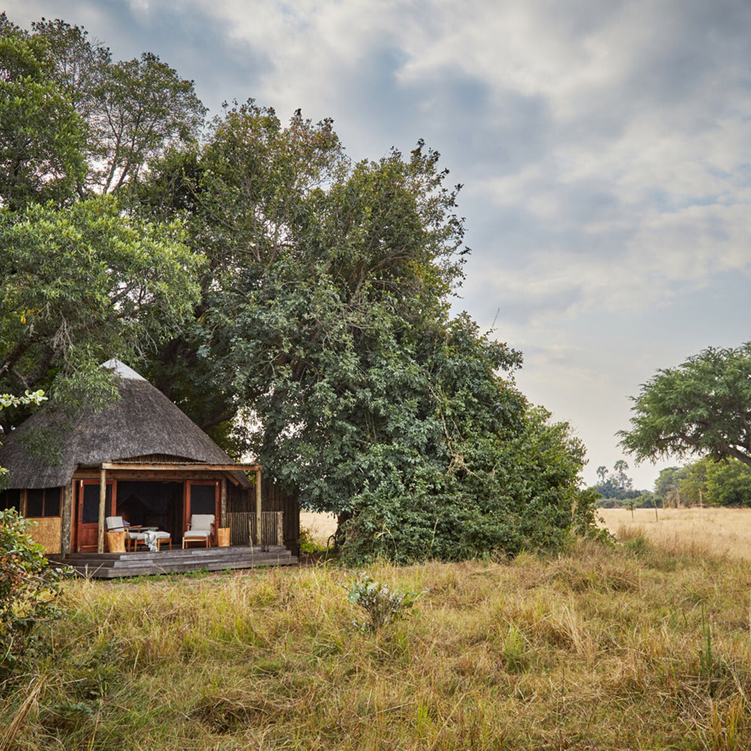 The Bushcamp Circuit: complete immersion