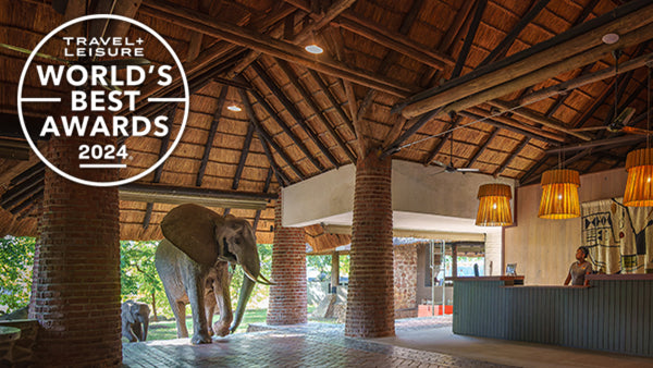 Mfuwe Lodge