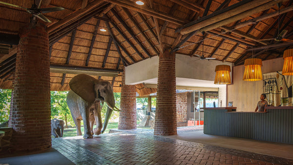 Mfuwe Lodge