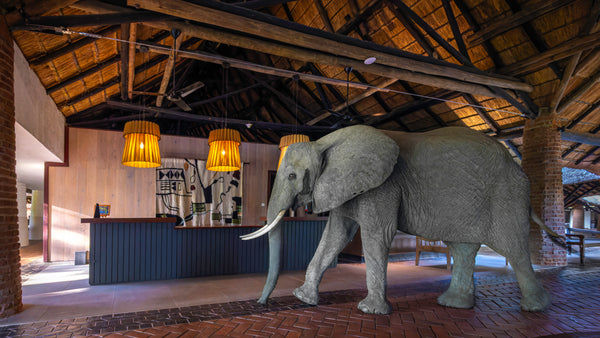 Mfuwe Lodge