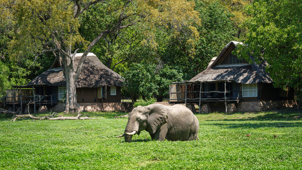 Mfuwe Lodge